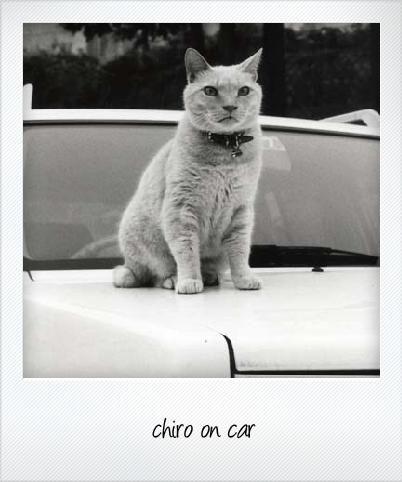Chiro_2