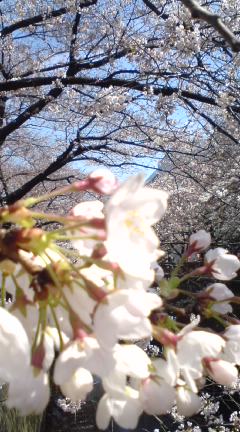 Margaret_56