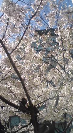 Margaret_67