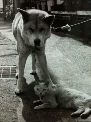 Margaret_70
