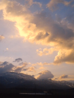 Margaret_136