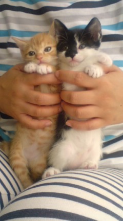 Margaret_186