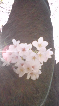Margaret_74
