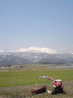 Margaret_114
