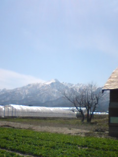 Margaret_117