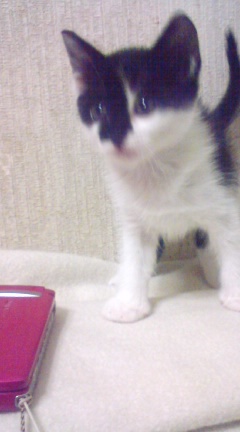 Margaret_184