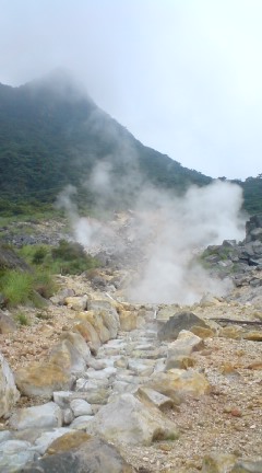 Margaret_205