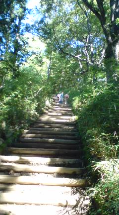 Margaret_239