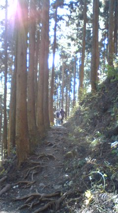 Margaret_263
