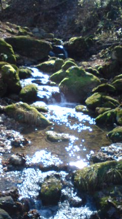 Margaret_264