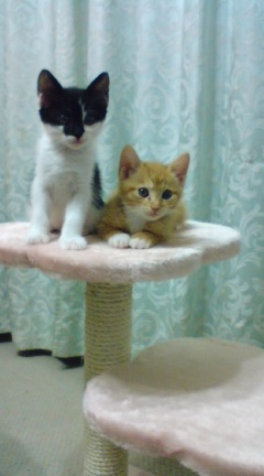 Margaret_287